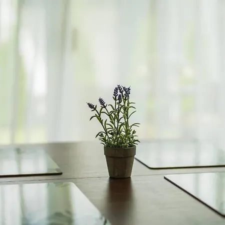 Gemini Ii Apartamento *