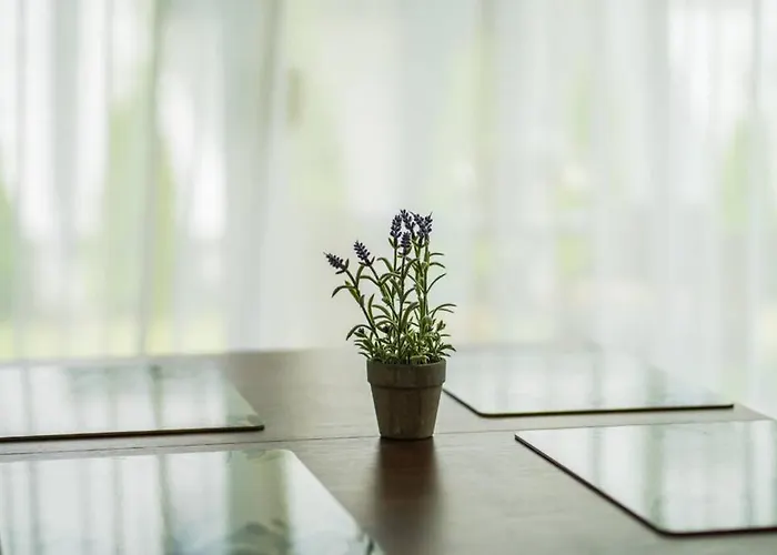 Gemini Ii Apartment *